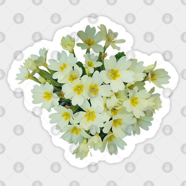 Yellow Primrose Bouquet Sticker by DesignMore21